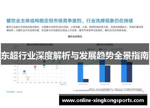 东超行业深度解析与发展趋势全景指南 东超行业深度解析与发展趋势全景指南