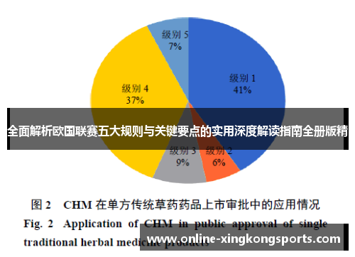 全面解析欧国联赛五大规则与关键要点的实用深度解读指南全册版精