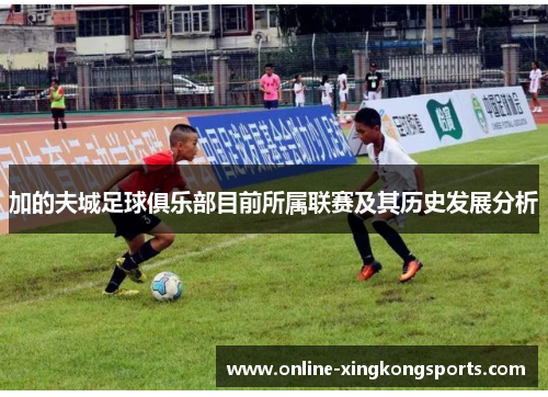 加的夫城足球俱乐部目前所属联赛及其历史发展分析