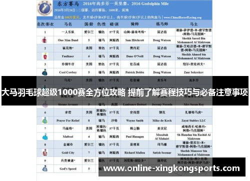 大马羽毛球超级1000赛全方位攻略 提前了解赛程技巧与必备注意事项