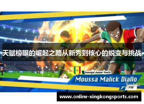 天赋榜眼的崛起之路从新秀到核心的蜕变与挑战