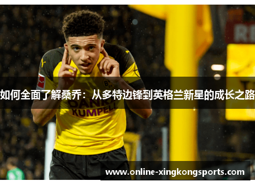 如何全面了解桑乔:从多特边锋到英格兰新星的成长之路 如何全面了解桑乔:从多特边锋到英格兰新星的成长之路
