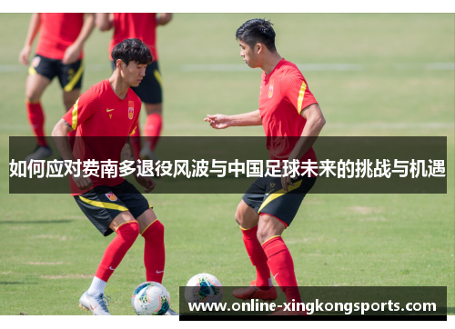 如何应对费南多退役风波与中国足球未来的挑战与机遇 如何应对费南多退役风波与中国足球未来的挑战与机遇