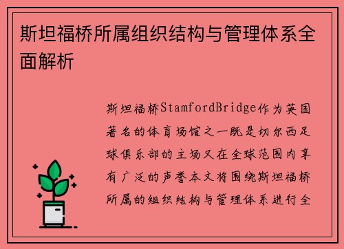 斯坦福桥所属组织结构与管理体系全面解析